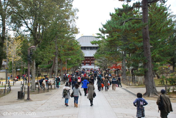 Walking Towards Todai-ji @ Nara